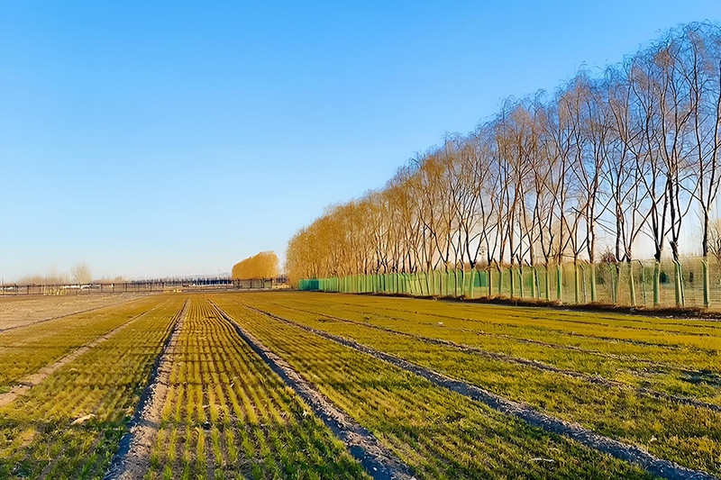 十四年外贸独立站从业者往事：那个春天签下的合同和那双捅破的皮鞋_众宣网络